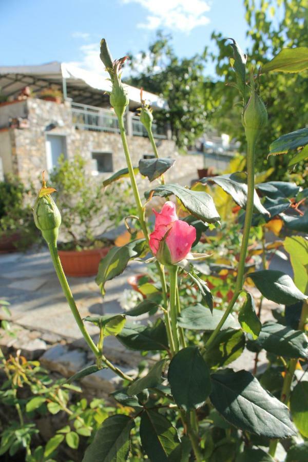 B&B Ca Dei Fre Генуа Екстериор снимка